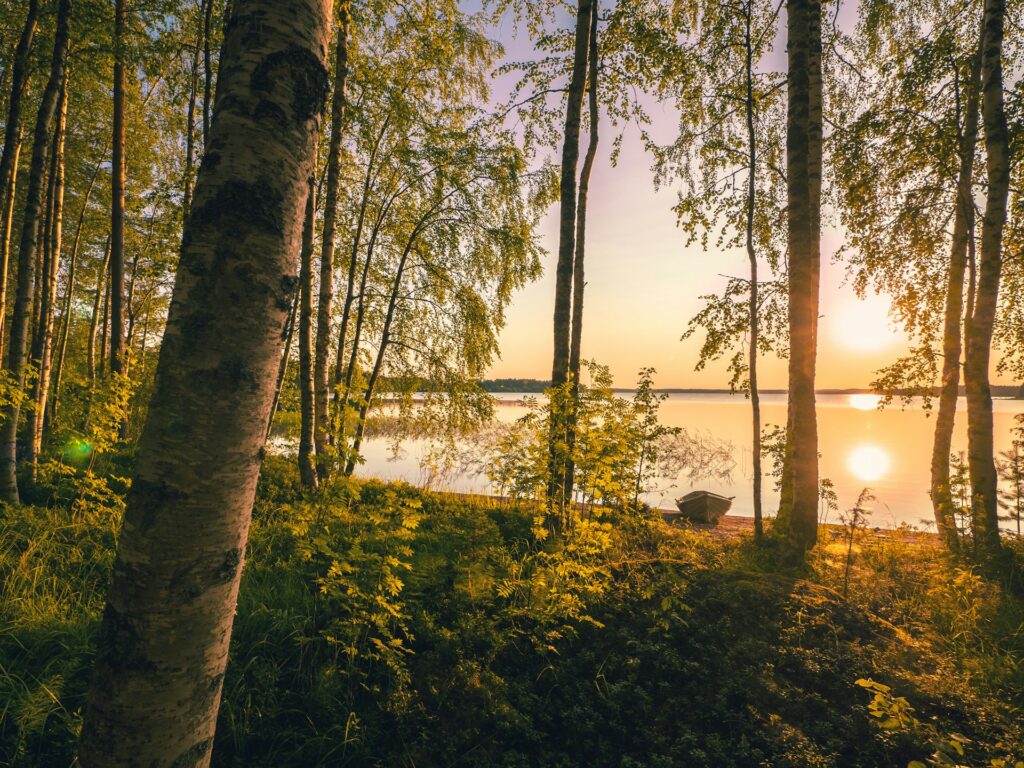 Ovatko suomen kielen o ja i päällä -säännöt vaikeita ymmärtää