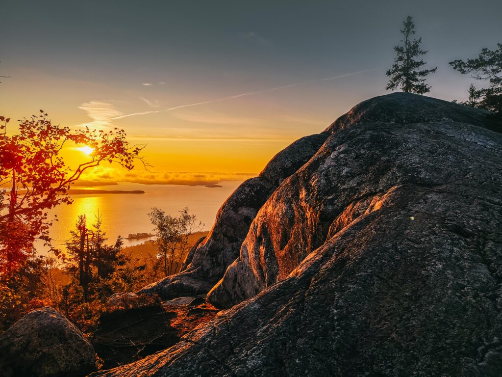 Miten Ulosotto Huutokauppa Toimii Pohjois-Karjalassa