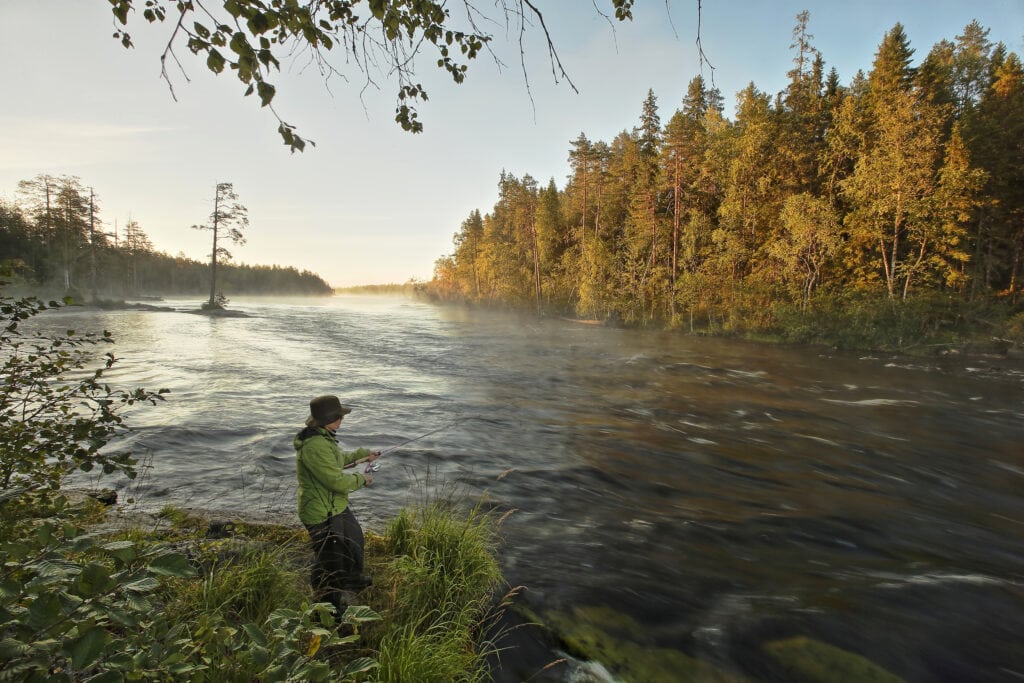 Miksi Pohjois-Karjalassa järjestetään erilaisia tanssitapahtumia